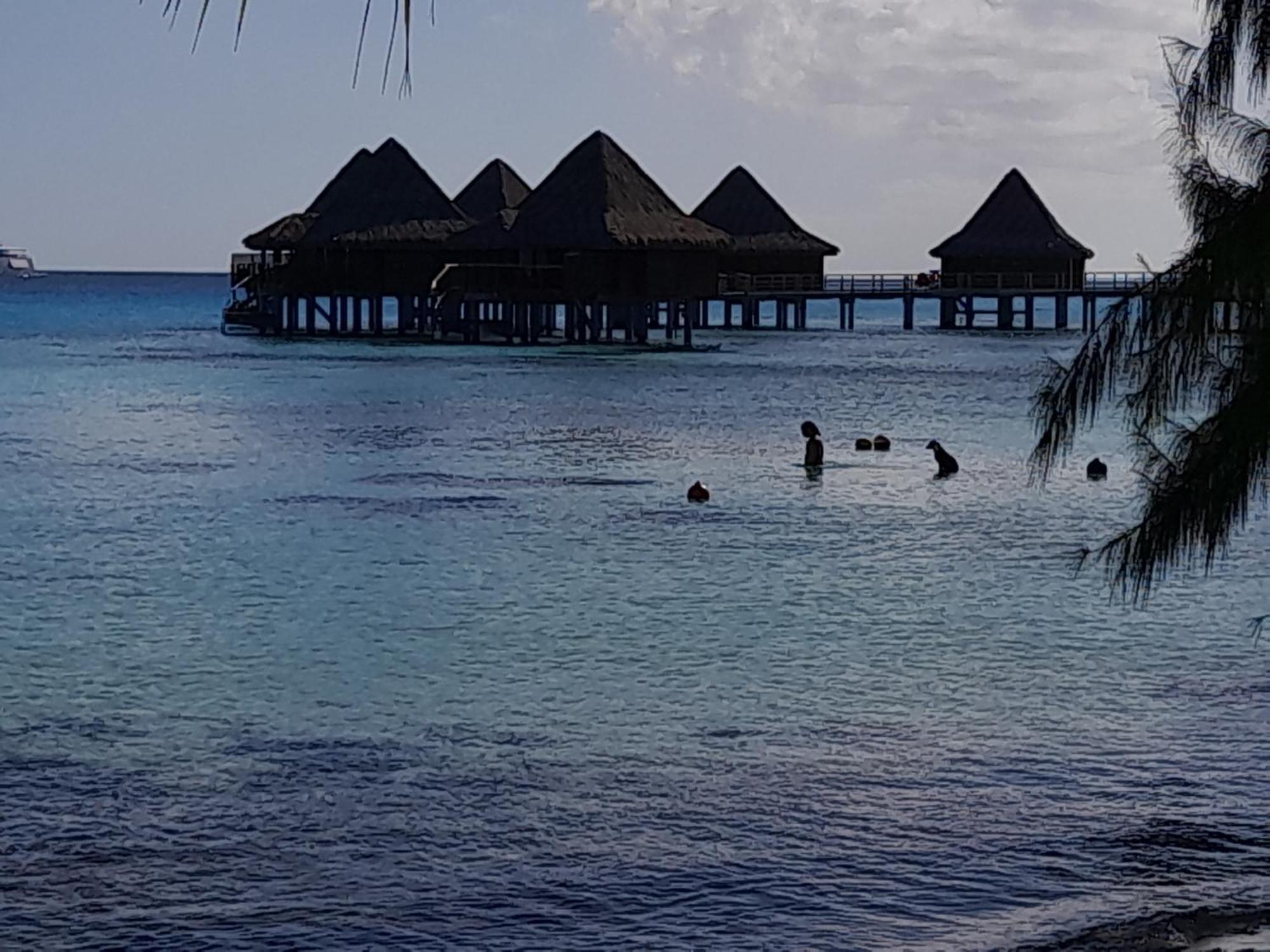 Hinamoe Lodge Аватору Екстериор снимка